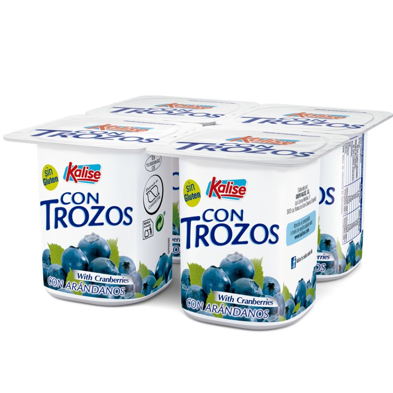 Con Arándanos 4 x 125gr